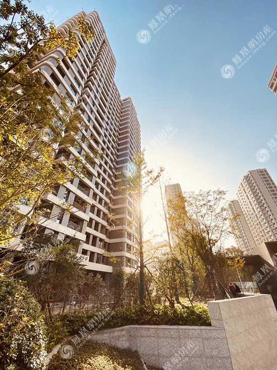 项目实景美照