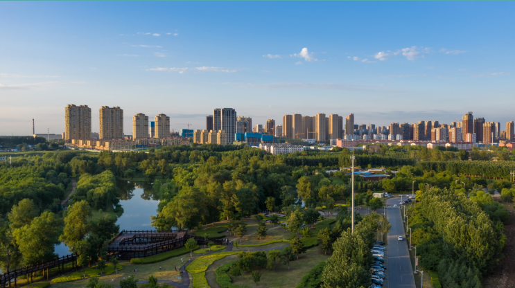 沈北新区丨全面优化营商环境夯实区域发展力