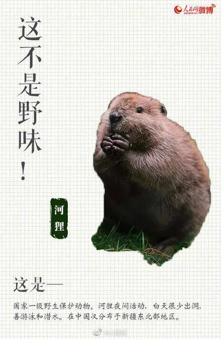 全面禁止!严查这类行为