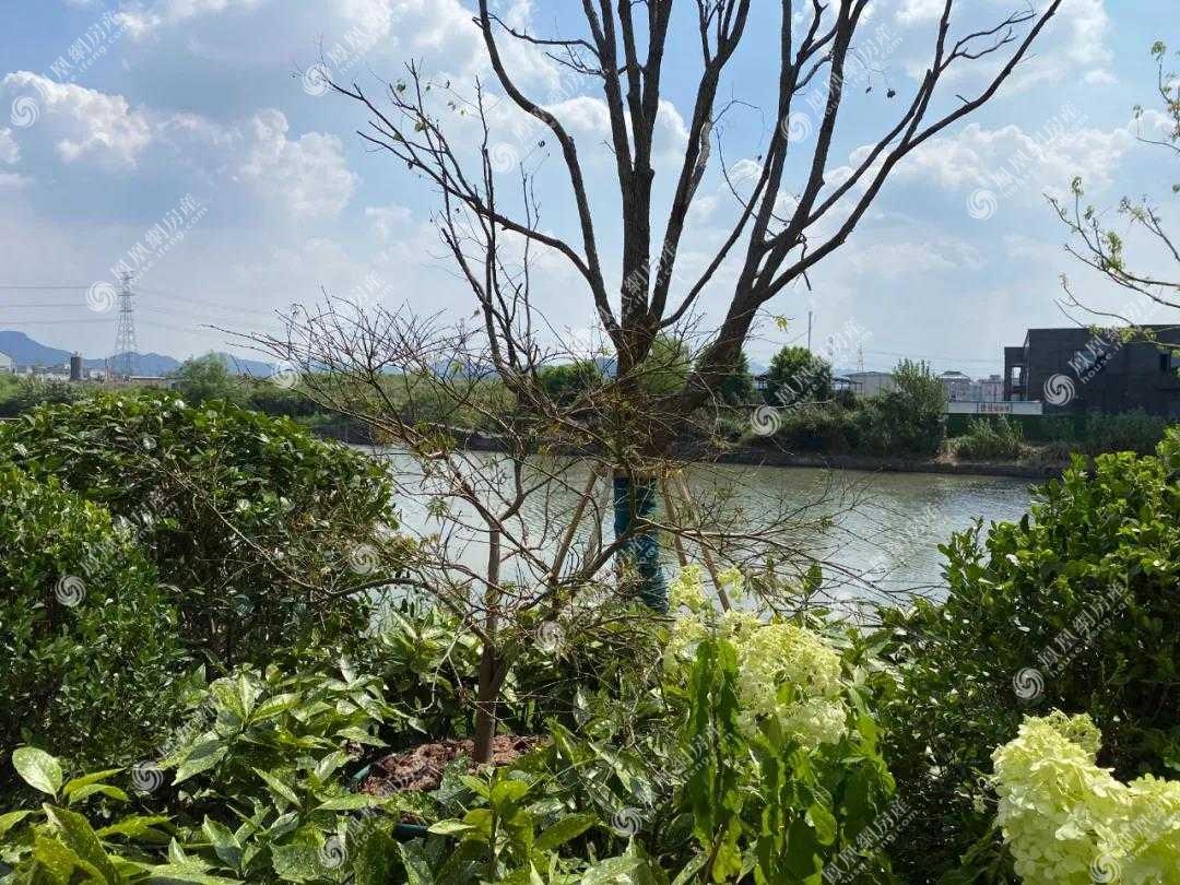 萧绍运河