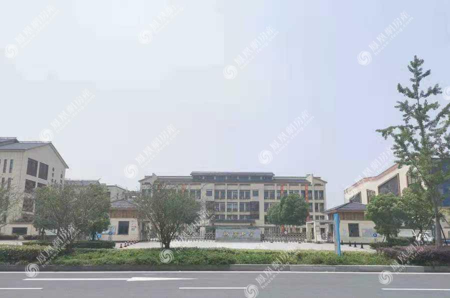 新湾小学