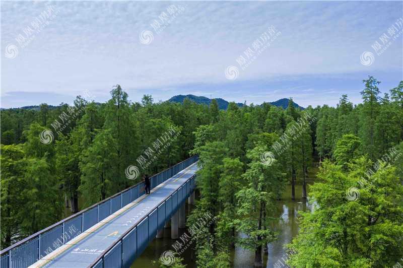 青山湖环湖绿道