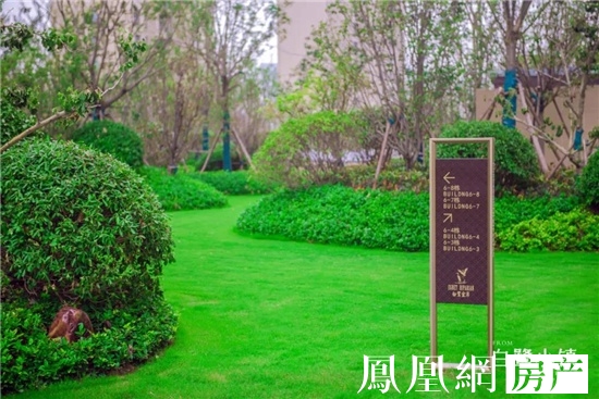 美好即将绽放白鹭金岸公园里盛大交付在即