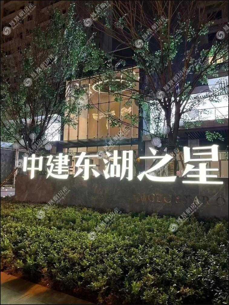 鲁磨路中建东湖之星图片