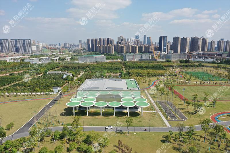 星桥体育公园实景图