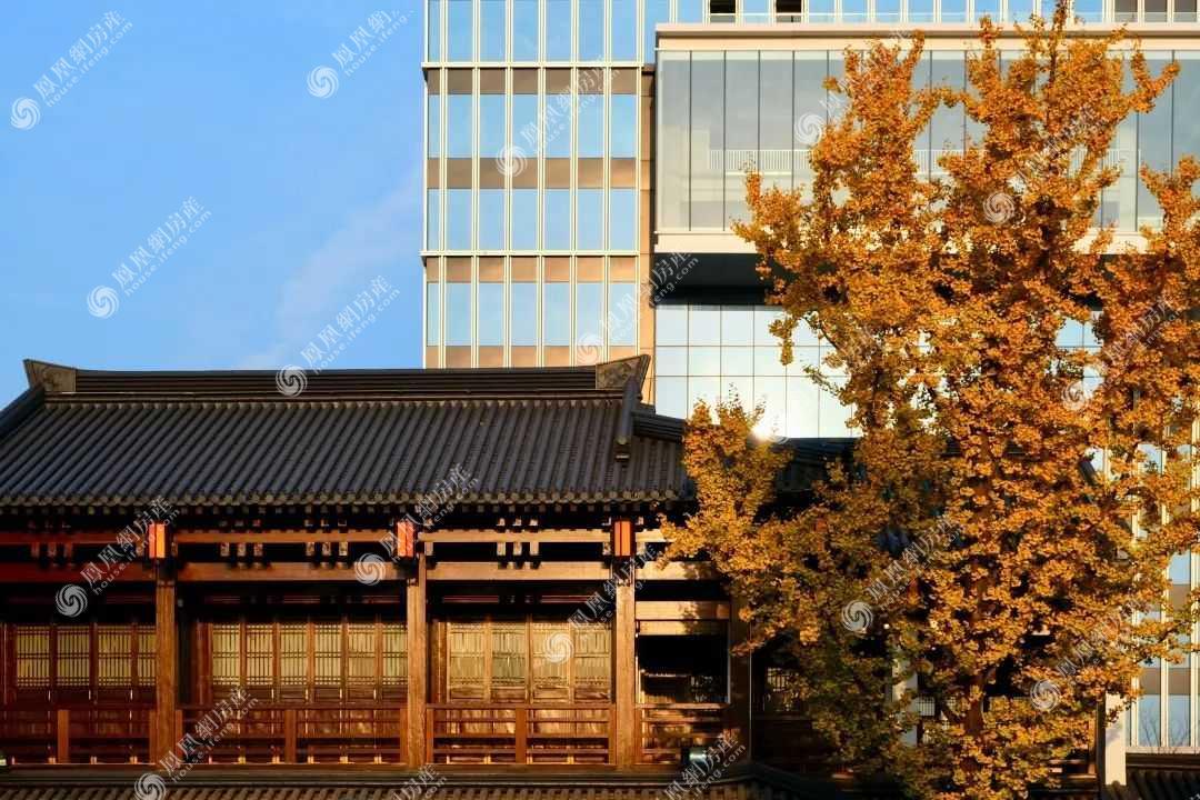 香积寺实景图