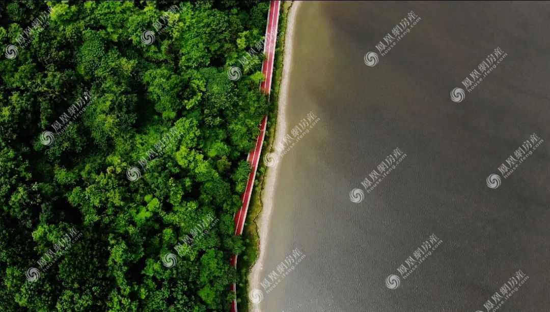 青山湖环湖绿道实景图