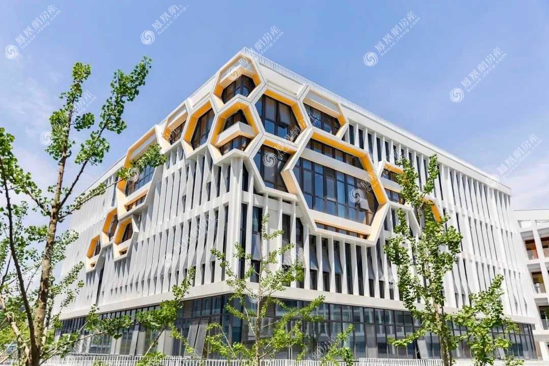 杭州东城外国语实验学校