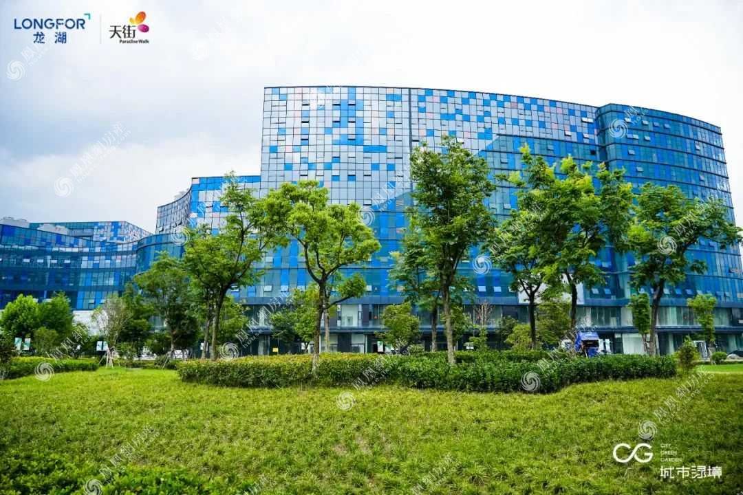 国芳天街实景