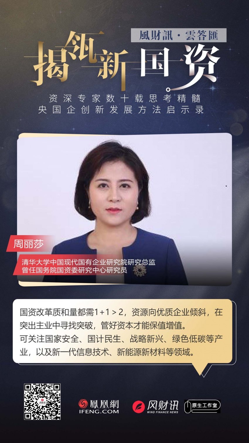 专访清华大学中国现代国有企业研究院研究总监周丽莎:国资改革可关注