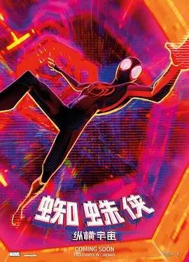 蜘蛛侠：纵横宇宙的海报