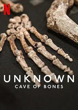地球未知档案：骸骨洞穴在线观看