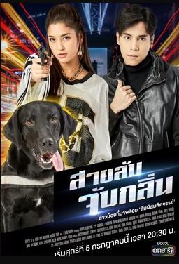 侦探K9普国语版
