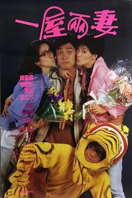 一屋两妻粤语版
