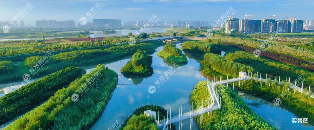 约1438亩新渭沙湿地公园