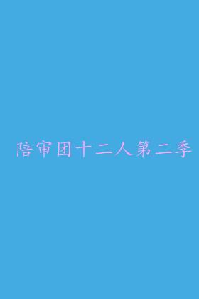 陪审团十二人第二季