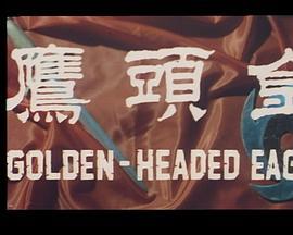 金头鹰粤语版