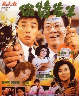 偷情先生国语版