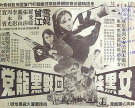 女黑侠血战黑龙党粤语版