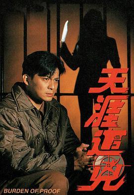 天涯追凶粤语版