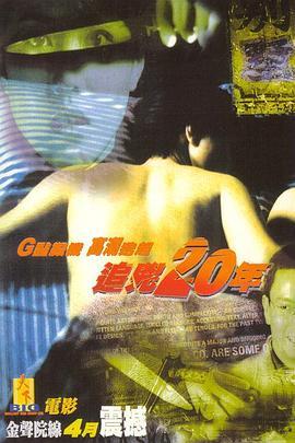 追凶20年国语版