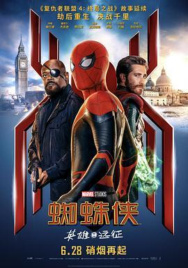 蜘蛛侠：英雄远征国语版