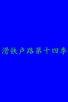 滑铁卢路第十四季