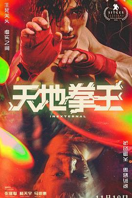 天地拳王粤语版