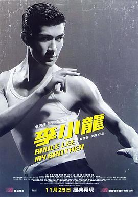 李小龙我的兄弟国语版