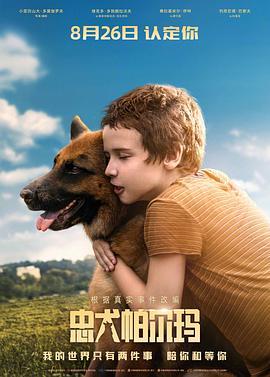 忠犬帕尔玛国语版