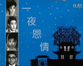 一夜恩情粤语版