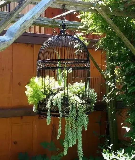 有一种小院设计,叫自己动手庭院diy