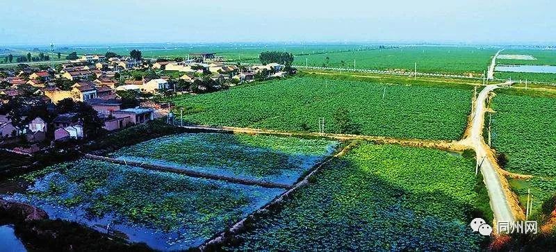 大荔:全域布局打造绿色宜居村庄__凤凰网