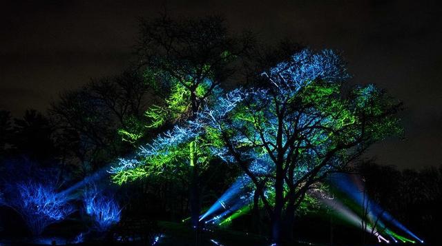 美国莫顿植物园举办灯光展