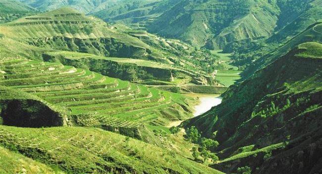 本版照片除署名外均为通讯员 马磊摄志丹县淤地坝高产粮田.