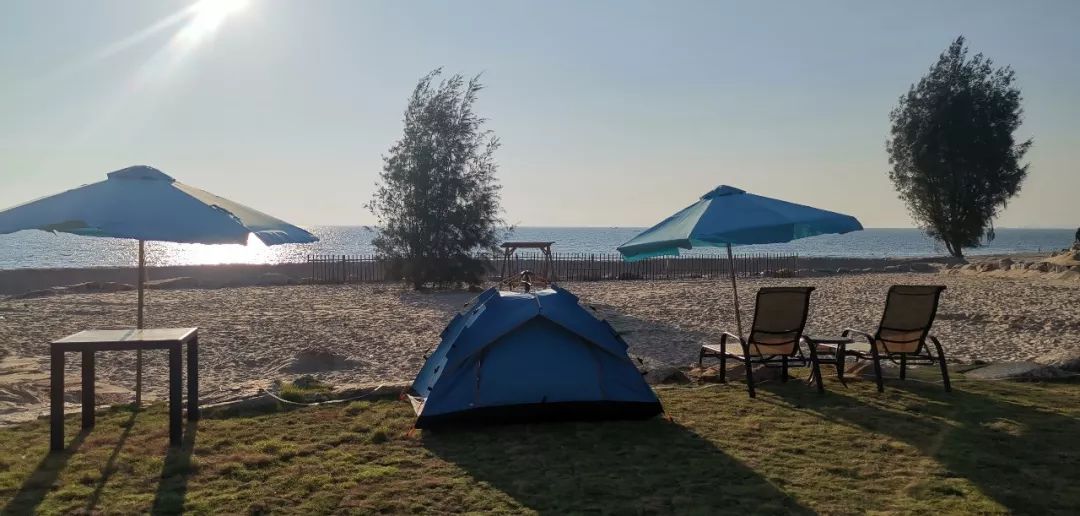 碣石镇目前最雅致的餐厅,鲲鹏海宴旅游度假营地举办高格调校友会