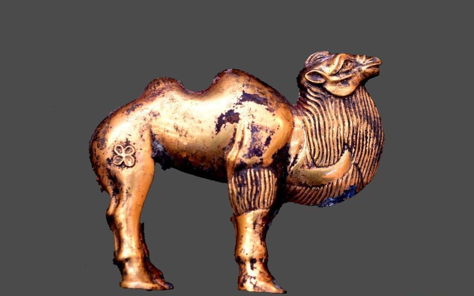 秦始皇陵陵西发现大型墓葬出土珍贵金骆驼