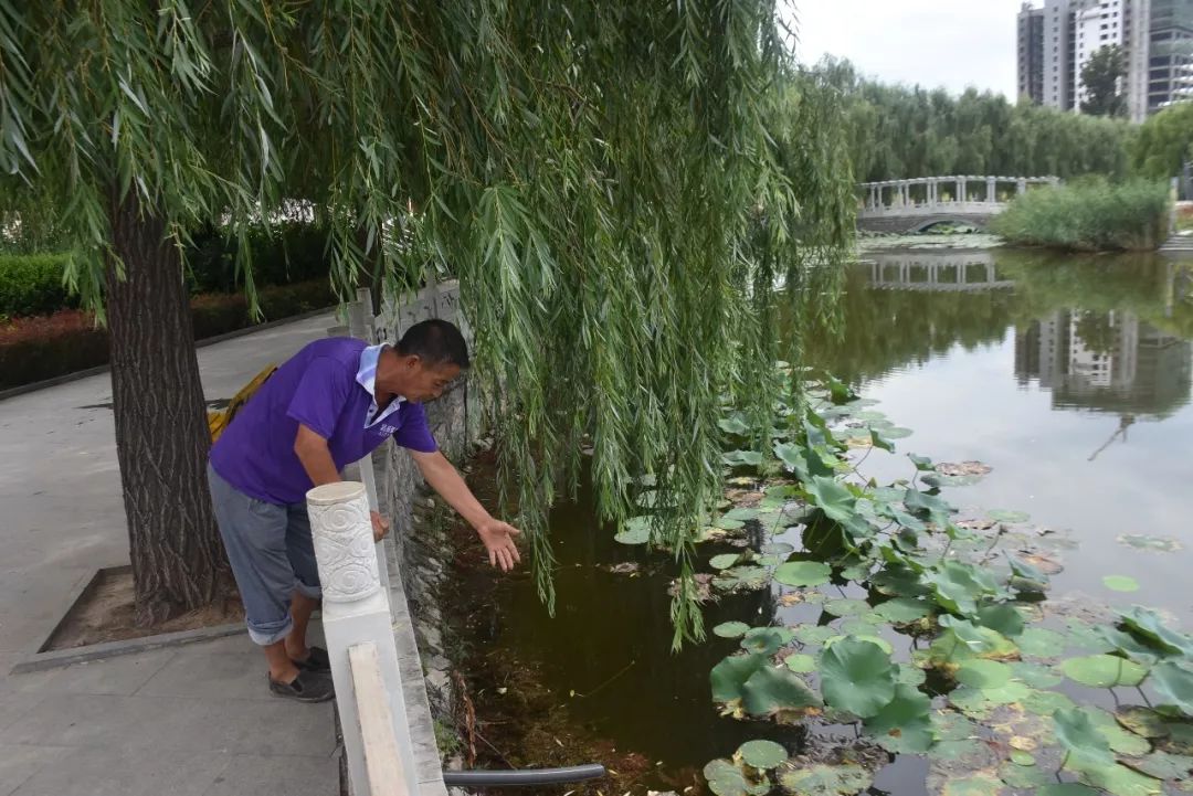 保定一老人落水 接下来发生的一幕