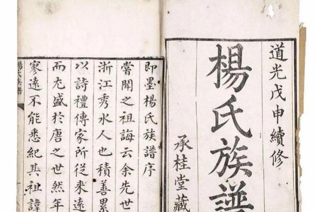 杨姓名人 凤凰网