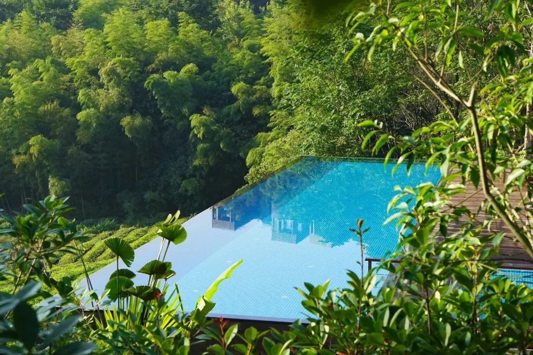 树屋别墅,夏日萤火虫,无边泳池,躲进江浙沪的竹海里避个暑