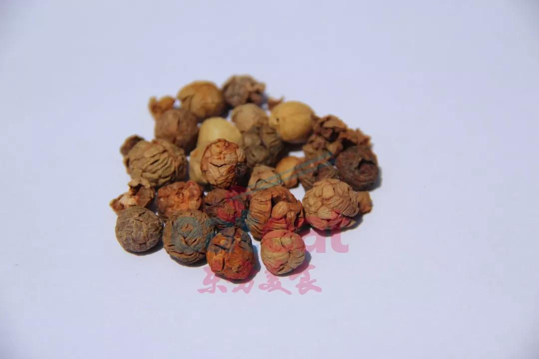 鉴别 优质肉豆蔻呈现灰褐色或者灰色,质地坚硬,很难拍碎,切开后里面有