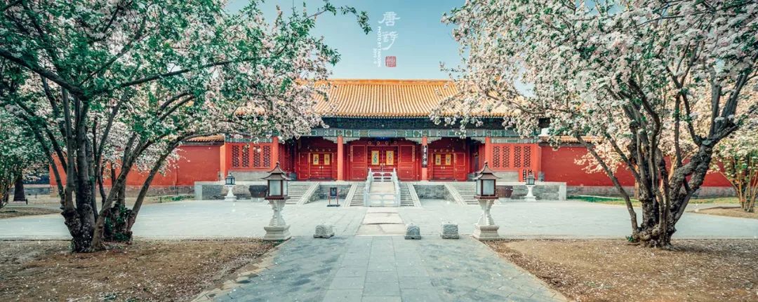 朱门金殿,绿柳红墙:蹲守故宫6年拍下30000张绝美照片__凤凰网