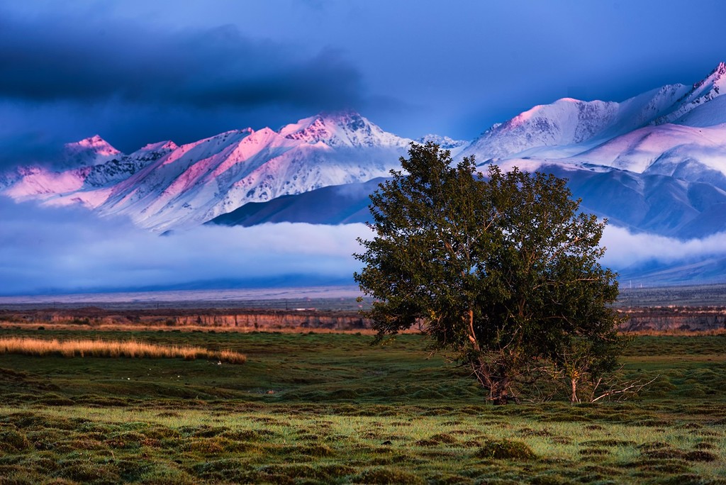 新疆温泉县湿地映像
