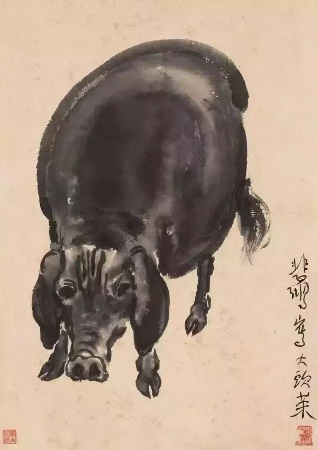 徐悲鸿画墨猪浓淡刻画趣味十足
