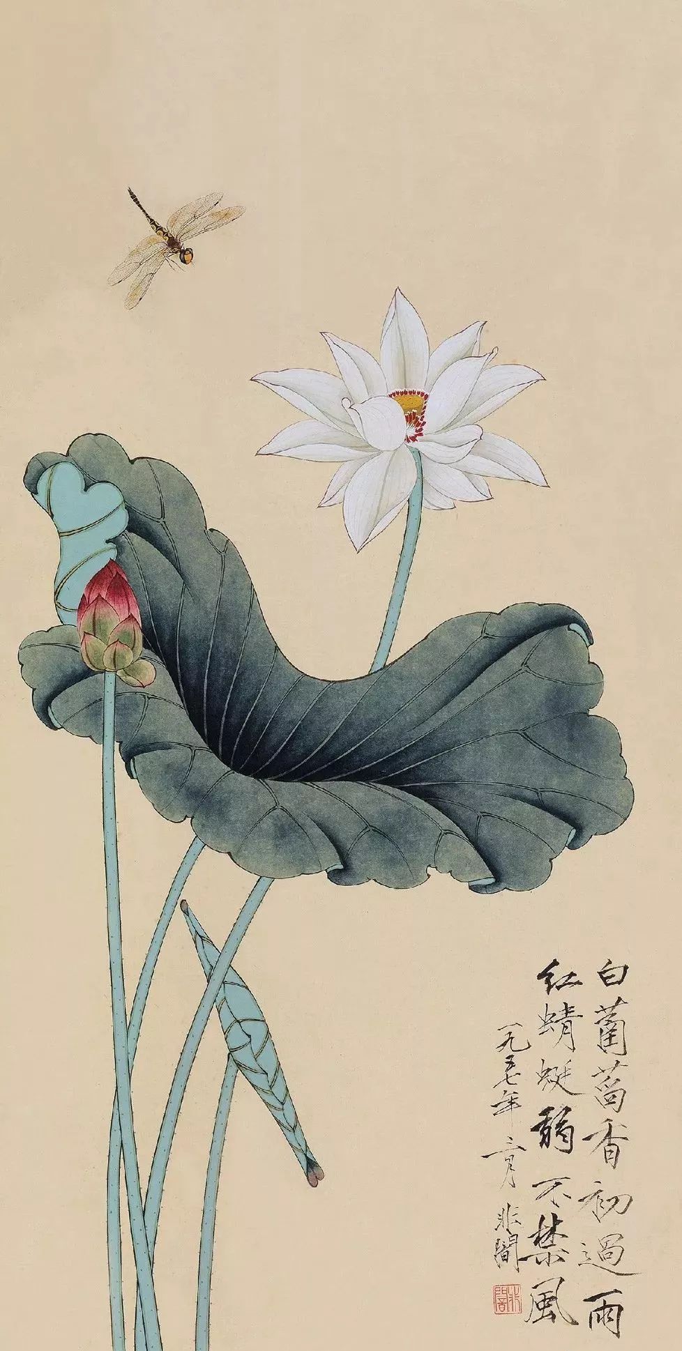 近现代名家笔下的荷花蜻蜓美