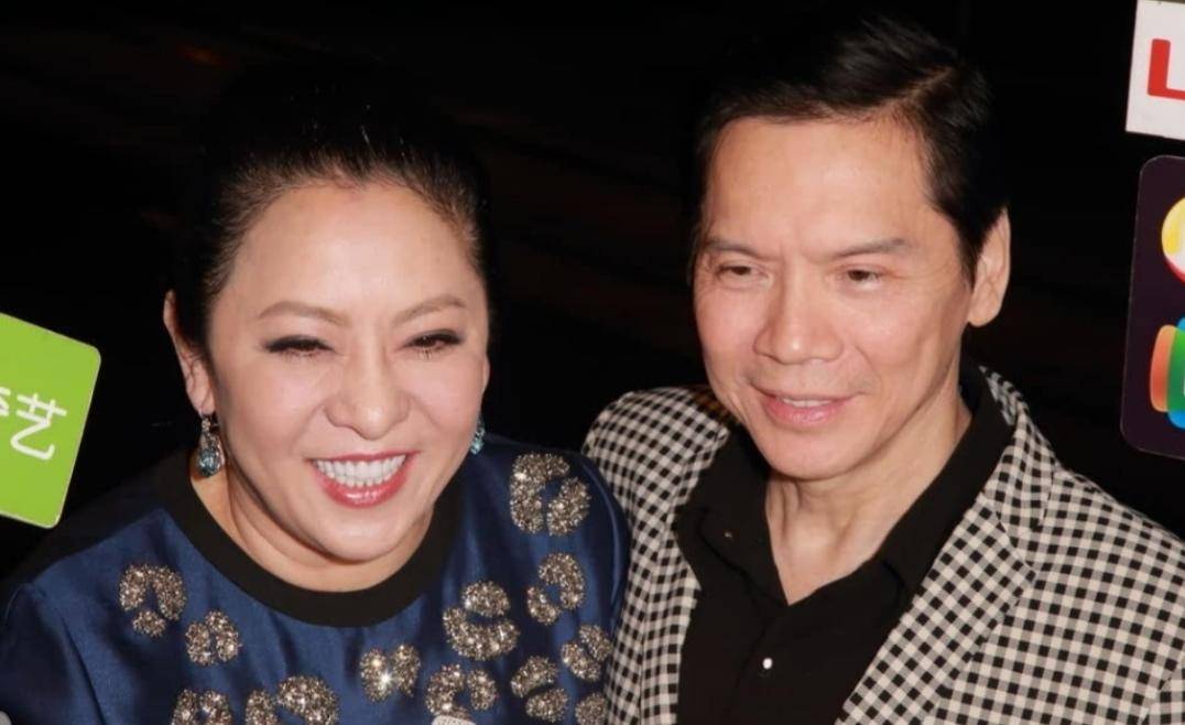 成就向华强事业"耿直人设"不倒,60岁陈岚最佳作品是向佐?