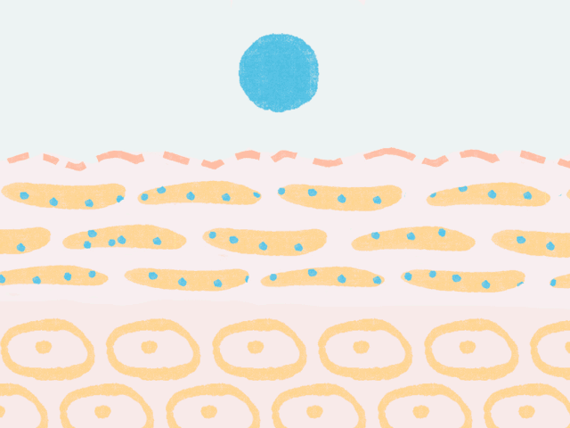 风靡小红书的网红——神经酰胺,到底是神仙护肤还是魔鬼?