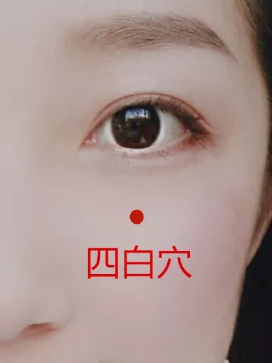 穴位知识 | 十二经脉·足阳明胃经之四白穴__凤凰网