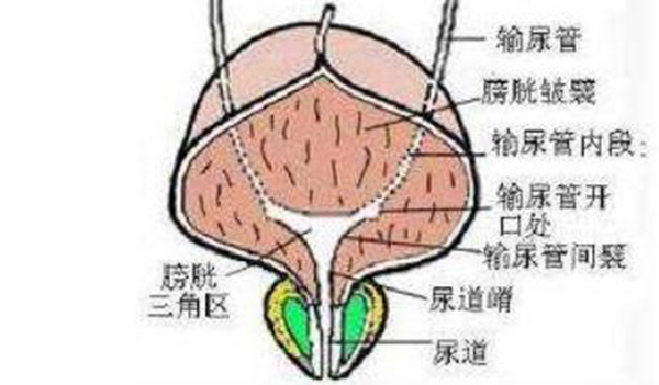 危险三角区下面图片