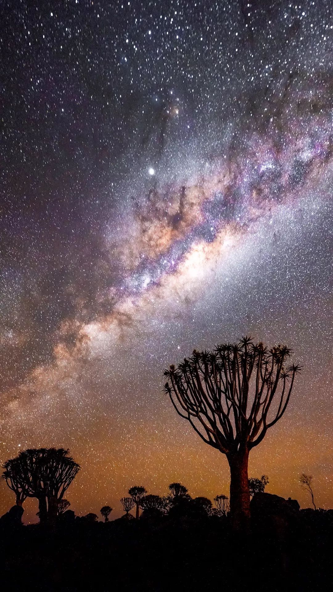 f/2 iso-2000 14mm前一阵去了纳米比亚旅行,天气不错,拍了些星空照片